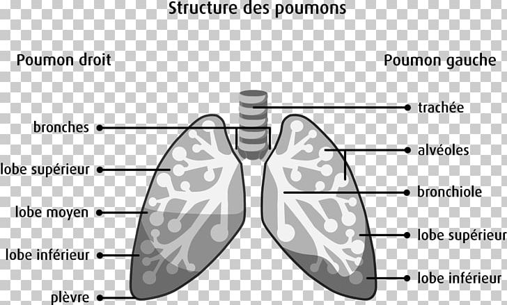 Finger Technology Point PNG, Clipart, Angle, Black And White, Cancer, Cartoon, Diagram Free PNG Download