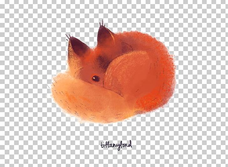 Red Fox Cat Drawing PNG, Clipart, Animal, Animals, Art, Carnivoran, Cartoon Free PNG Download