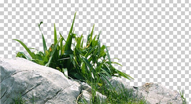 Rock Stone PNG, Clipart, Background, Big Stone, Computer Wallpaper, Decorative, Decorative Background Free PNG Download
