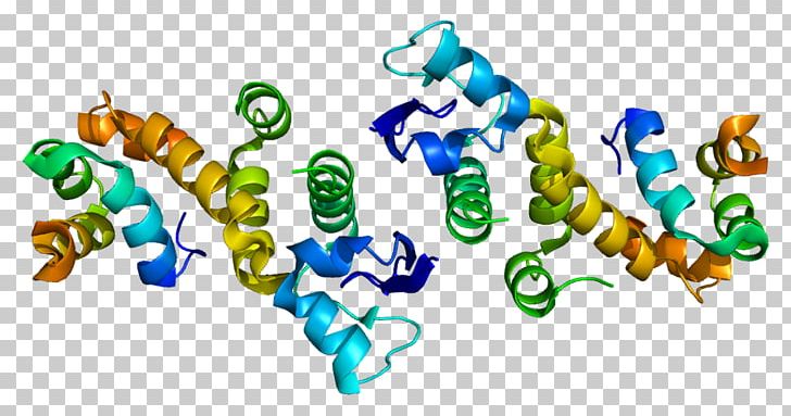 SKP1A Homo Sapiens P-glycoprotein Enzyme PNG, Clipart, 1 A, Cytokinesis, Enzyme, Fs 1, Gene Free PNG Download