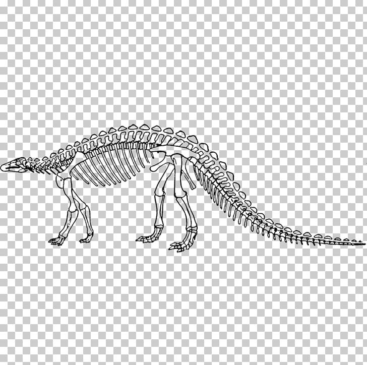 Dinosaur King Scelidosaurus Skeleton PNG, Clipart, Black And White, Cartoon Dinosaur, Cute Dinosaur, Dinosaur, Dinosaur King Free PNG Download