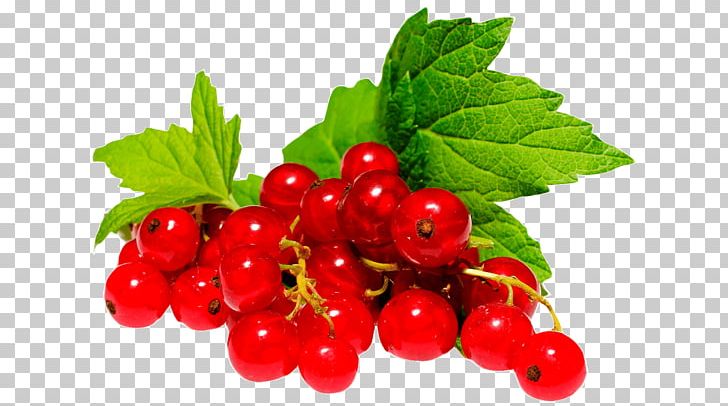 Gooseberry Zante Currant Redcurrant Strawberry Fruit PNG, Clipart, Berry, Cranberry, Currant, Food, Fruit Free PNG Download