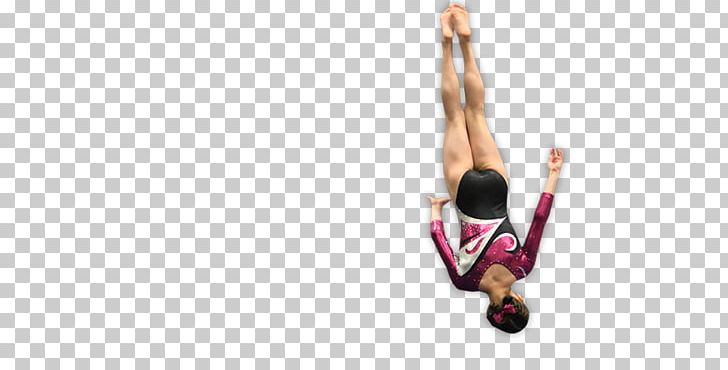 Roanoke Academy Of Gymnastics Physical Fitness Fitness Centre Floor PNG, Clipart, Arm, Cave, Conquer, Dog, Exercise Free PNG Download