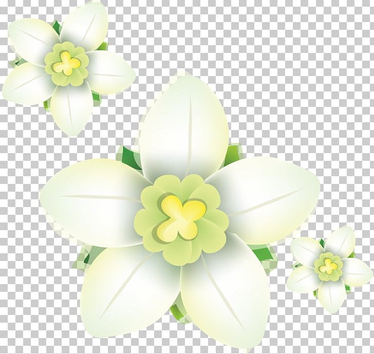Daffodil Petal Tulip PNG, Clipart, Beauty, Blue, Child, Daffodil, Floristry Free PNG Download