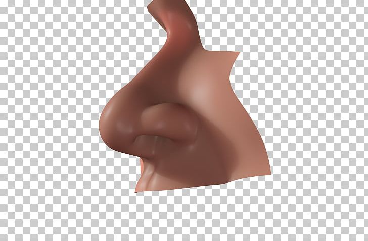 Human Nose Olfaction PNG, Clipart, 3 D Model, 3d Computer Graphics, Animated Film, Arm, Cgtrader Free PNG Download