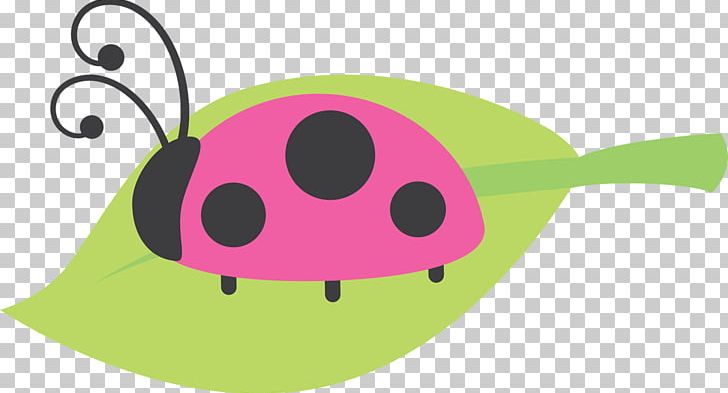 Ladybird Beetle Drawing Illustration PNG, Clipart, Animal, Art, Beetle, Birthday, Cartoon Free PNG Download