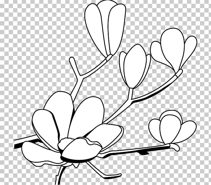 Southern Magnolia Drawing PNG, Clipart, Area, Black And White, Branch, Flora, Floral Design Free PNG Download