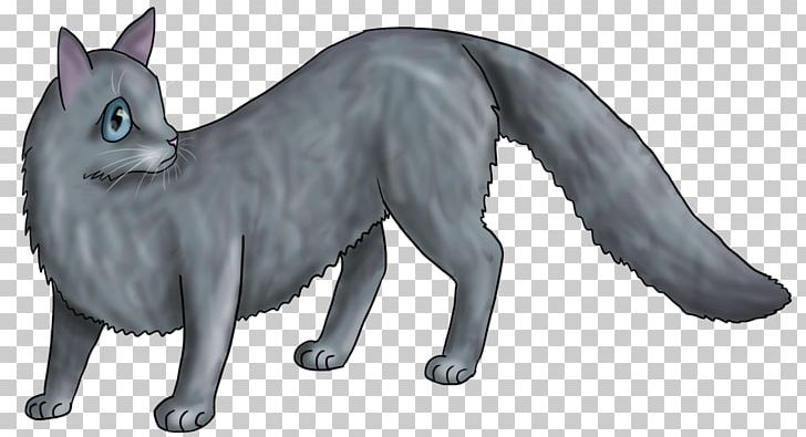 Whiskers Red Fox Gray Wolf Cat Fur PNG, Clipart, Animal, Animal Figure, Animals, Carnivoran, Cat Free PNG Download