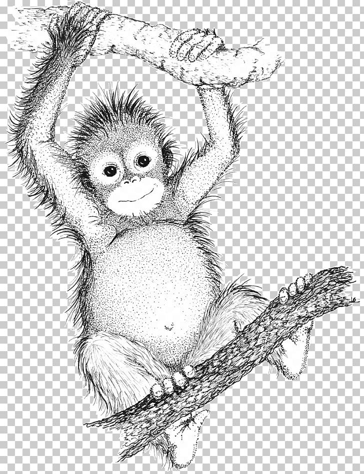 Bornean Orangutan Sumatran Orangutan Primate Chimpanzee Drawing PNG,  Clipart, Animal, Animals, Arboreal Locomotion, Art, Black And