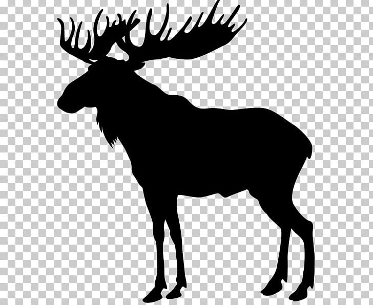 Moose Deer PNG, Clipart, Animals, Antler, Art, Black And White, Cattle Like Mammal Free PNG Download