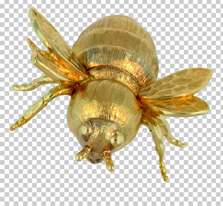 Bee Insect PNG, Clipart, Bijou, Encapsulated Postscript, Gold, Golden, Golden Background Free PNG Download