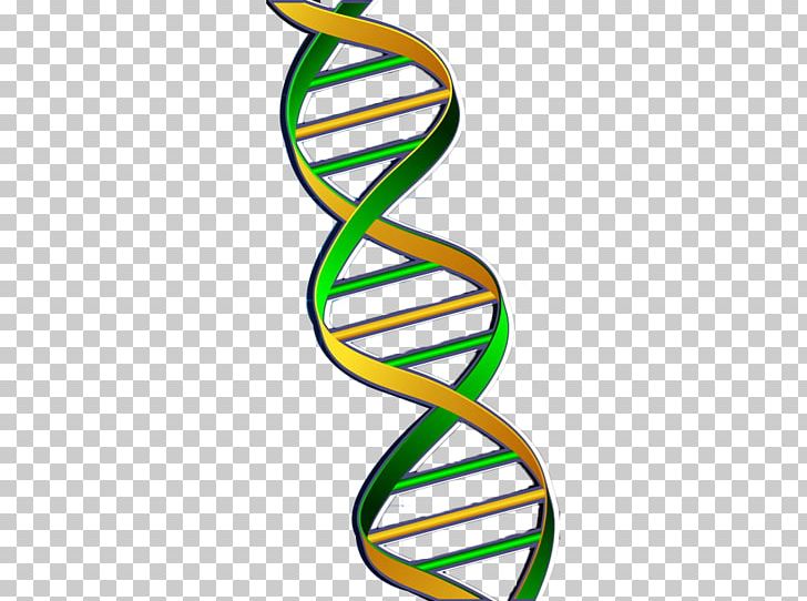 DNA Nucleic Acid Double Helix Gene Green PNG, Clipart, Background Green, Biology, Body Jewelry, Chain, Chain Gene Free PNG Download