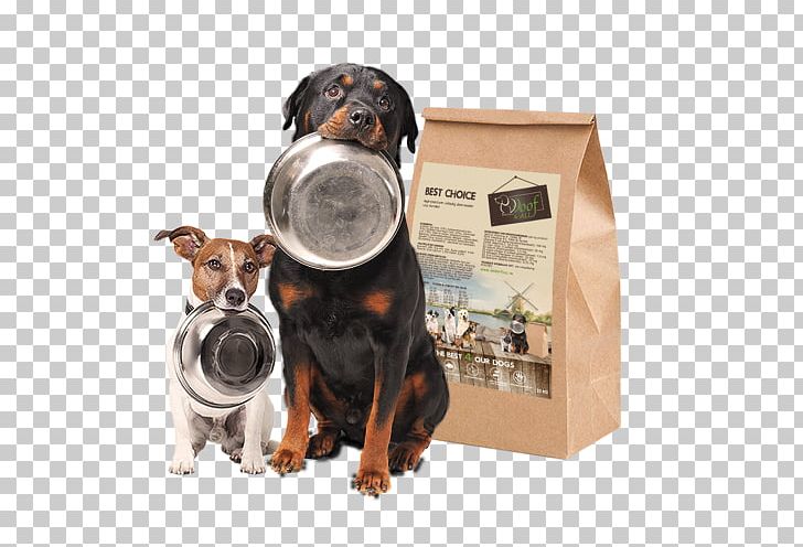 Dog Breed Puppy Dog Food Cat PNG, Clipart, Animals, Best Choice, Canidae, Carnivoran, Cat Free PNG Download