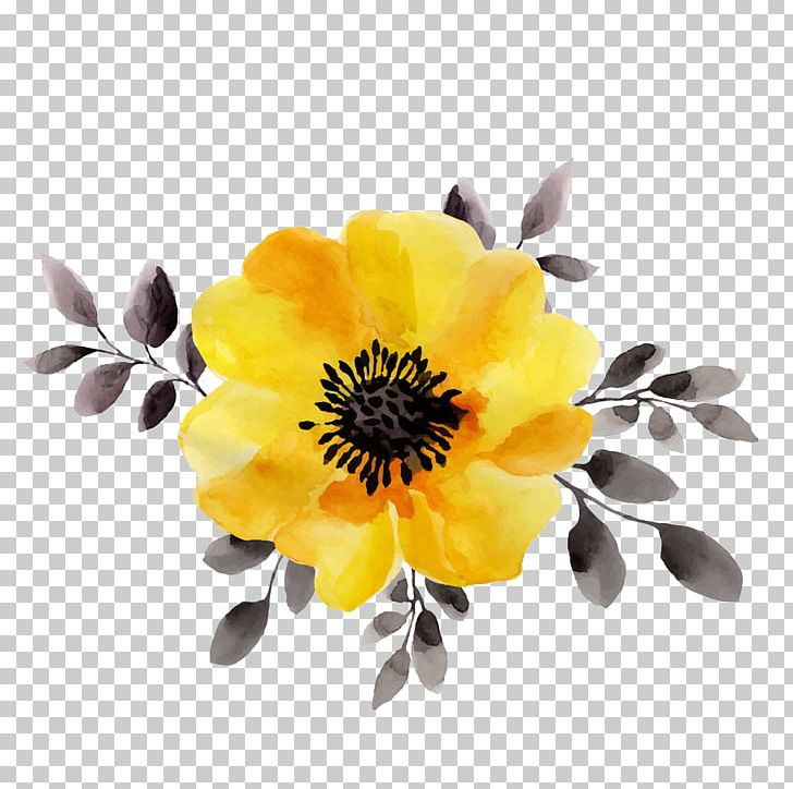 Flower Yellow Watercolor Painting Stock Illustration PNG, Clipart, Cut Flowers, Daisy Family, Drawing, Floral Design, Floristry Free PNG Download