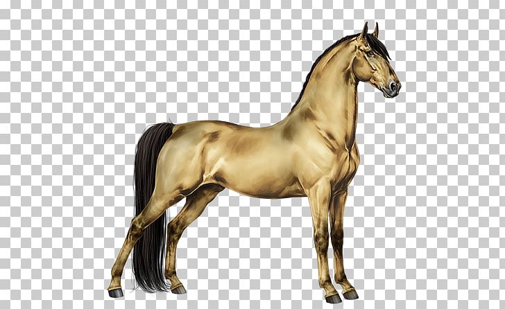 Mustang Foal Stallion Colt Mare PNG, Clipart, Animal Figure, Bridle, Colt, Dog Harness, Foal Free PNG Download