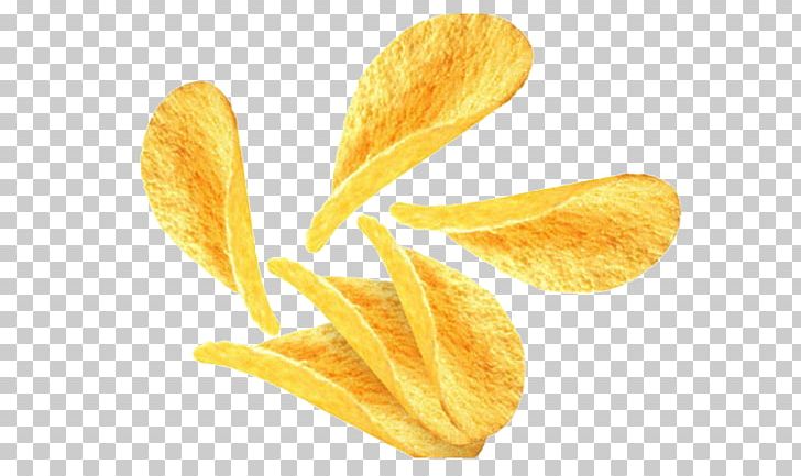 Potato Chip French Fries Lays Food PNG, Clipart, Barbecue, Chip, Chips, Condiment, Deep Frying Free PNG Download