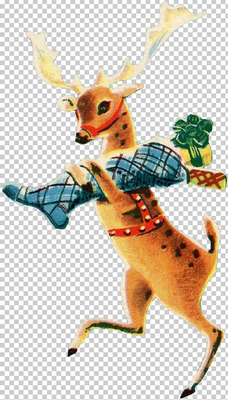 Reindeer Antler Fauna Tail PNG, Clipart, Antler, Art, Button Buck, Cartoon, Deer Free PNG Download