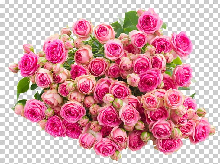 Rose Pink Flower PNG, Clipart, Annual Plant, Artificial Flower, Color, Floribunda, Floristry Free PNG Download
