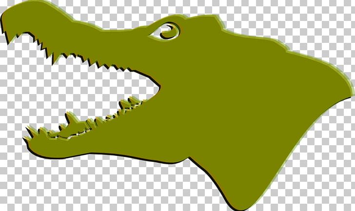Crocodiles & Alligators Crocodiles & Alligators PNG, Clipart, Alligator, Amphibian, Caiman, Crocodile, Cuteness Free PNG Download