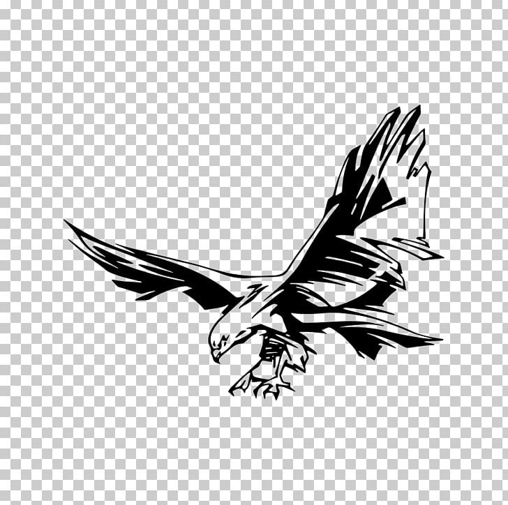 Eagle Stock Photography PNG, Clipart, Animals, Beak, Bird, Bird Of Prey, Black And White Free PNG Download