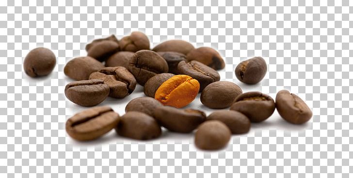 International Coffee Day Fair Trade Cafe Coffee Bean PNG, Clipart, Bean, Cafe, Caritas Internationalis, Chocolate Coated Peanut, Coffee Free PNG Download