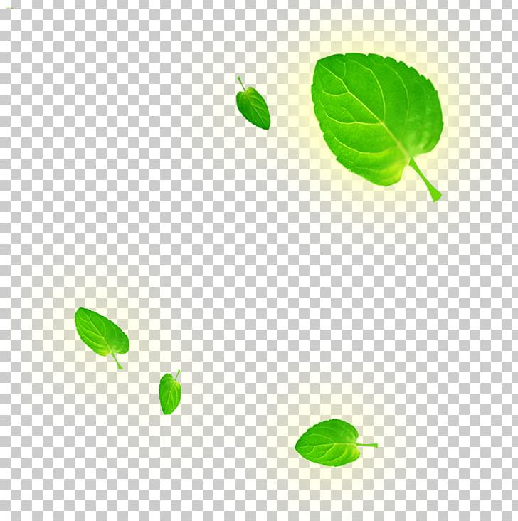 Green Leaf Pattern PNG, Clipart, Advertising, Autumn Leaf, Computer, Computer Wallpaper, Cosmetics Free PNG Download
