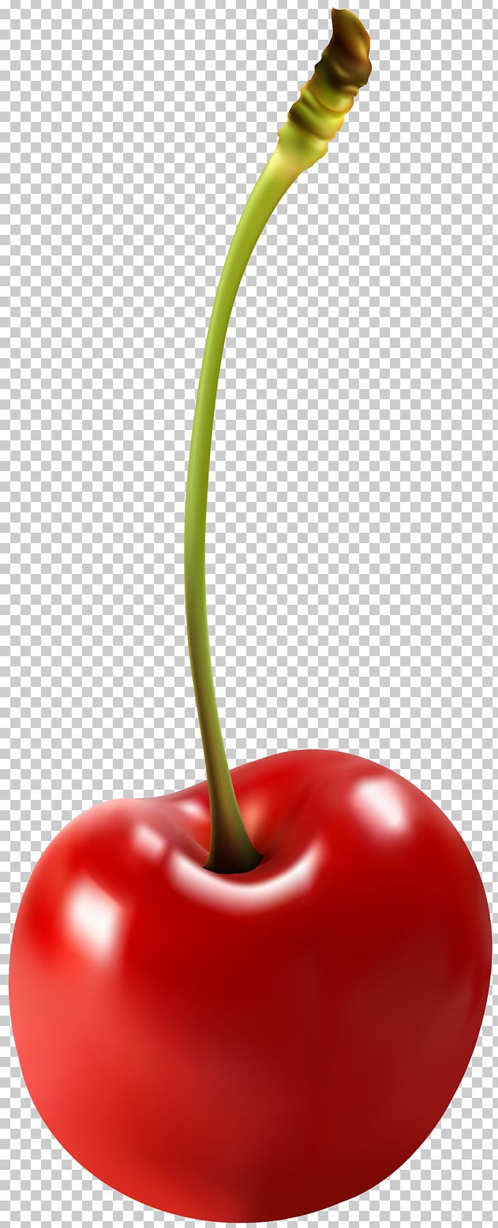 Sour Cherry PNG, Clipart, Bell Peppers And Chili Peppers, Cherry, Chili Pepper, Computer Icons, Drawing Free PNG Download