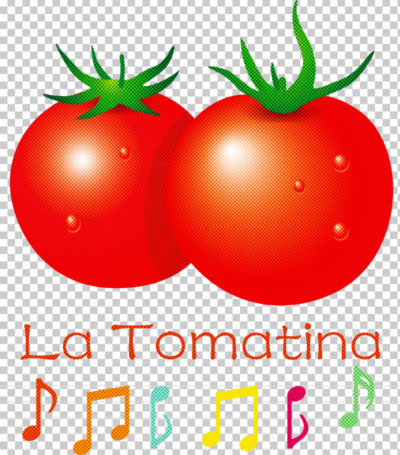 La Tomatina Tomato Throwing Festival PNG, Clipart, Bush Tomato, Clementine, Datterino Tomato, Eating, Fruit Free PNG Download