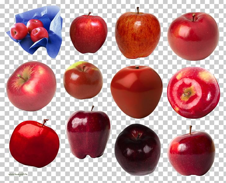 Art PNG, Clipart, Accessory Fruit, Acerola, Acerola Family, Apple, Apple Fruit Free PNG Download