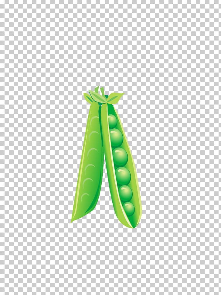 Pigeon Pea Lentil Vegetable Sweet Pea PNG, Clipart, Auglis, Bean, Cabbage, Chickpea, Euclidean Vector Free PNG Download