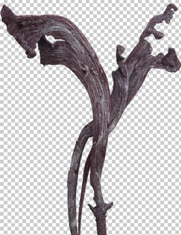 Twig BlackBerry Tree Made In Germany Earth PNG, Clipart, Blackberry, Color, Earth, Germany, India Free PNG Download