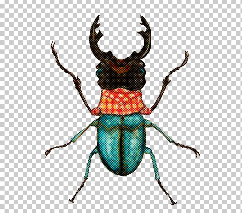 Textile Beetles Artist Weevil Japanese Rhinoceros Beetle PNG, Clipart, Artist, Beetles, Clothing, Insect, Japanese Rhinoceros Beetle Free PNG Download