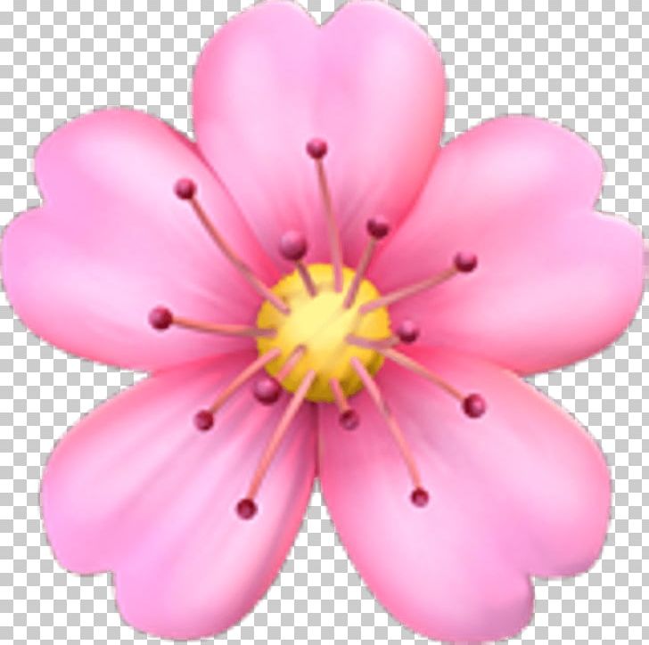 Emoji Pink Flowers Cherry Blossom Sticker PNG, Clipart, Blossom, Cherry, Cherry Blossom, Emoji, Emojipedia Free PNG Download
