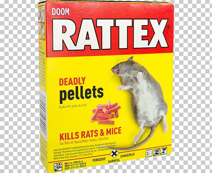 Insecticide Control Of Rats And Mice Rodenticide Grovida PNG, Clipart, Aerosol Spray, Control Of Rats And Mice, Coumarin, Deltamethrin, Dynaroot Rooting Hormone Powder Free PNG Download