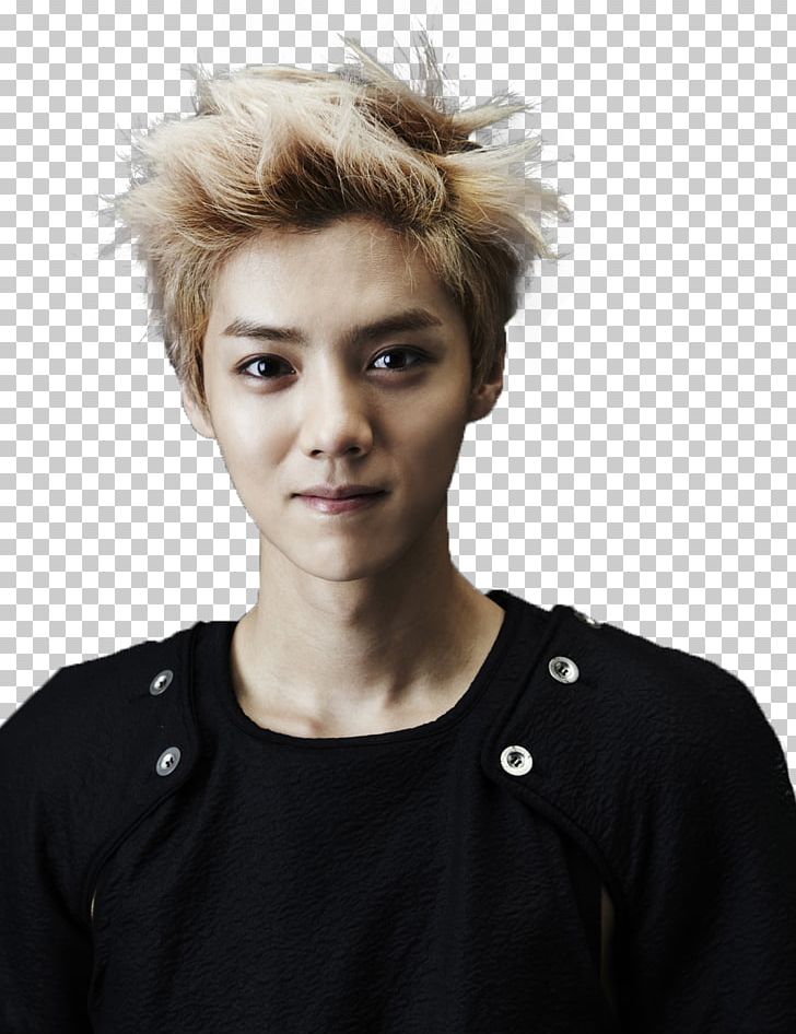 Lu Han EXO-M SM Town Wolf PNG, Clipart, Animals, Been Through, Blond, Brown Hair, Exo Free PNG Download