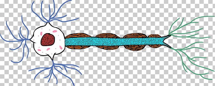 Neuron Line Art Nerve PNG, Clipart, Agy, Art, Artwork, Branch, Cover Art Free PNG Download