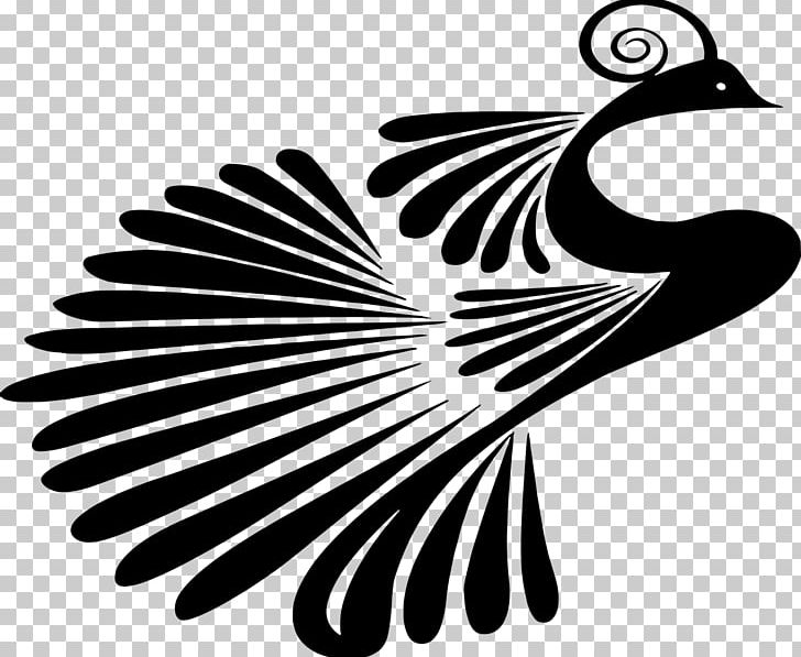 Peafowl Drawing PNG, Clipart, Animals, Beak, Bird, Black And White, Drawing Free PNG Download