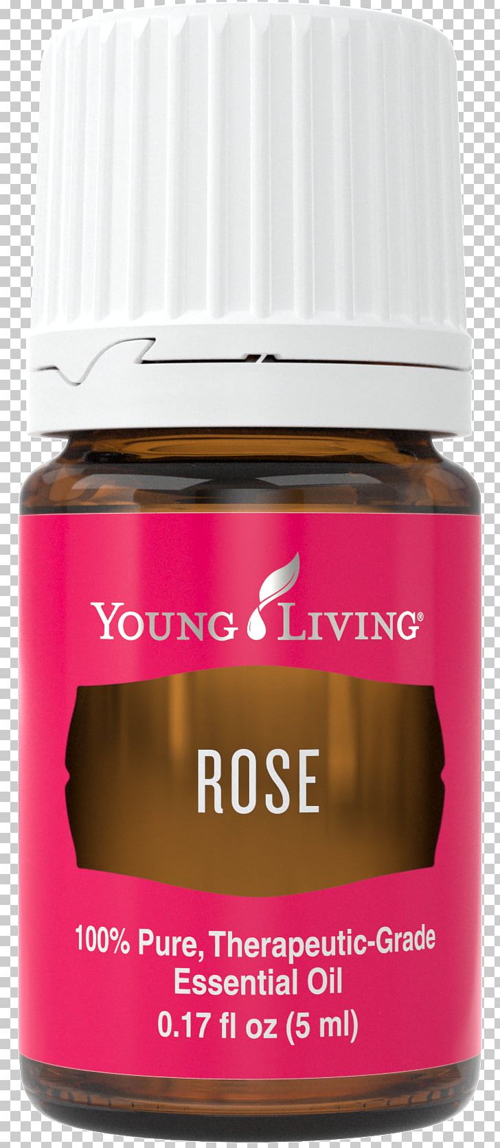 Young Living Rose Oil Essential Oil Damask Rose PNG, Clipart, Aroma Compound, Bergamot Essential Oil, Blend, Damask Rose, Essential Free PNG Download