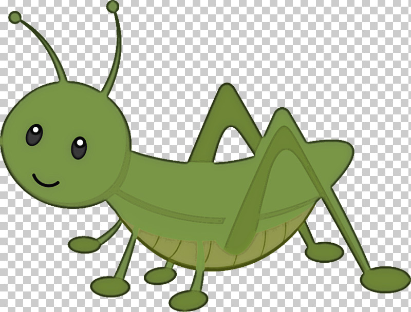 Insect Grasshopper Caterpillar Larva Locust PNG, Clipart, Caterpillar, Cricket, Grasshopper, Green, Insect Free PNG Download