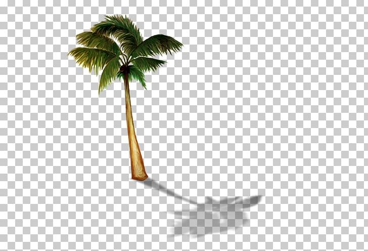Arecaceae Hit Single Summer Hit 0 PNG, Clipart, 2017, 2018, Arecaceae, Arecales, Branch Free PNG Download
