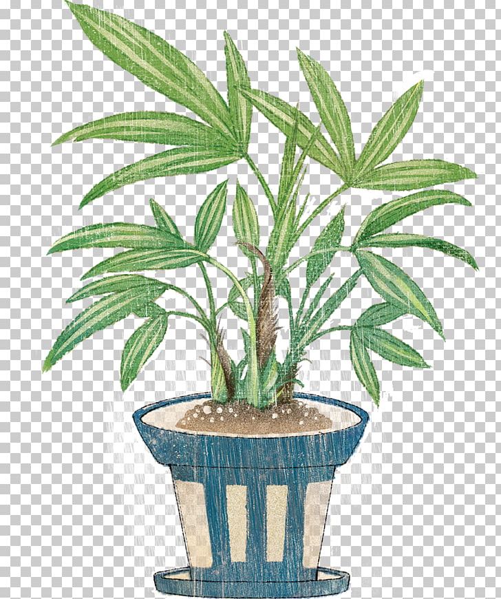 Arecaceae Houseplant Flowerpot Shrub PNG, Clipart, Arecaceae, Arecales, Flowerpot, Food Drinks, Houseplant Free PNG Download