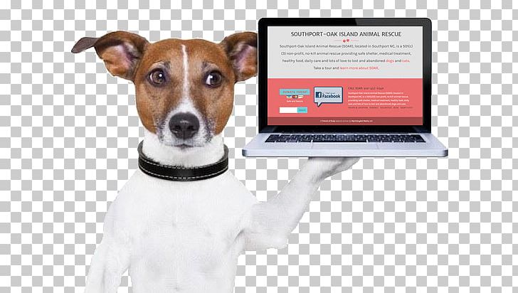 Dog Pet Credit Card Stock Photography Debit Card PNG, Clipart, Companion Dog, Company, Credit Card, Debit Card, Dog Free PNG Download