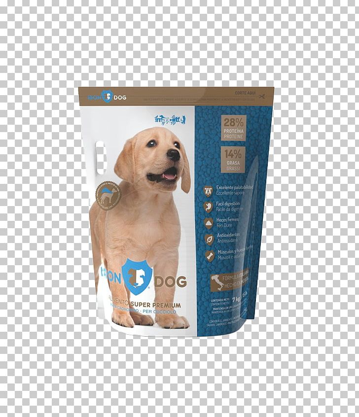 Golden Retriever Puppy Dog Breed Companion Dog Food PNG, Clipart, Animals, Breed, Carnivoran, Companion Dog, Dog Free PNG Download