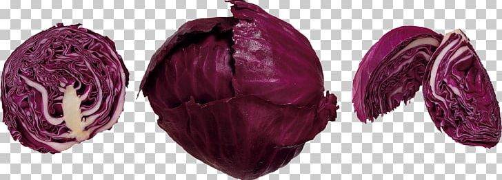 Red Cabbage Red Slaw Vegetable Coleslaw PNG, Clipart, Brassica Oleracea, Cabbage, Chemistry, Coleslaw, Color Free PNG Download