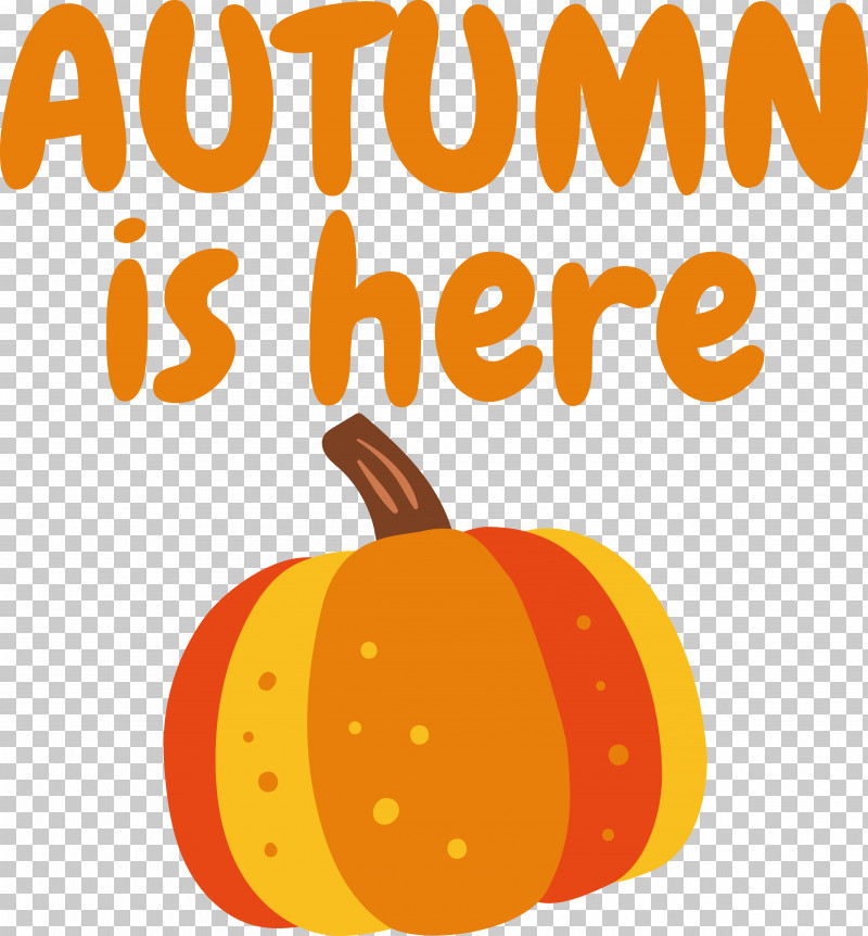 Pumpkin PNG, Clipart, Fruit, Geometry, Line, Mathematics, Orange Free PNG Download