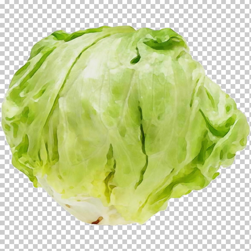 Romaine Lettuce Cabbage Lettuce PNG, Clipart, Cabbage, Lettuce, Paint, Romaine Lettuce, Watercolor Free PNG Download