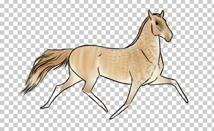 Mane Mustang Foal Stallion Colt PNG, Clipart, Animal Figure, Bridle, Colt, Foal, Halter Free PNG Download