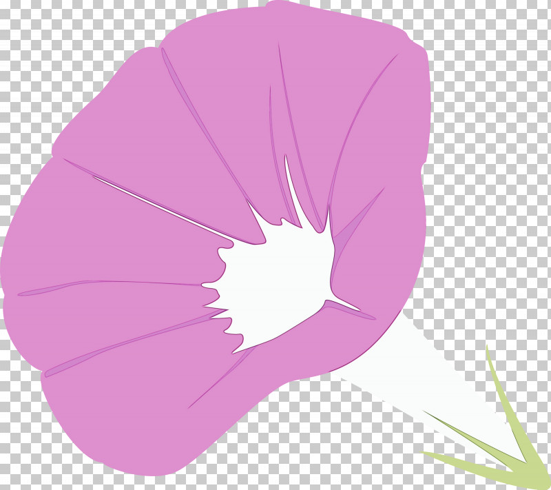 Pink Violet Purple Petal Leaf PNG, Clipart, Flower, Leaf, Magenta, Morning Glory, Morning Glory Flower Free PNG Download