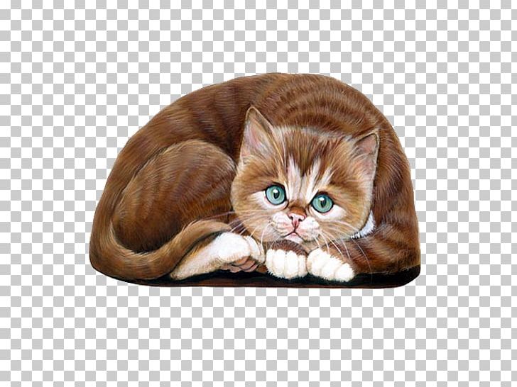 American Shorthair European Shorthair Whiskers Tabby Cat Domestic Short-haired Cat PNG, Clipart, Animals, Carnivoran, Cat, Cat Bed, Cat Like Mammal Free PNG Download