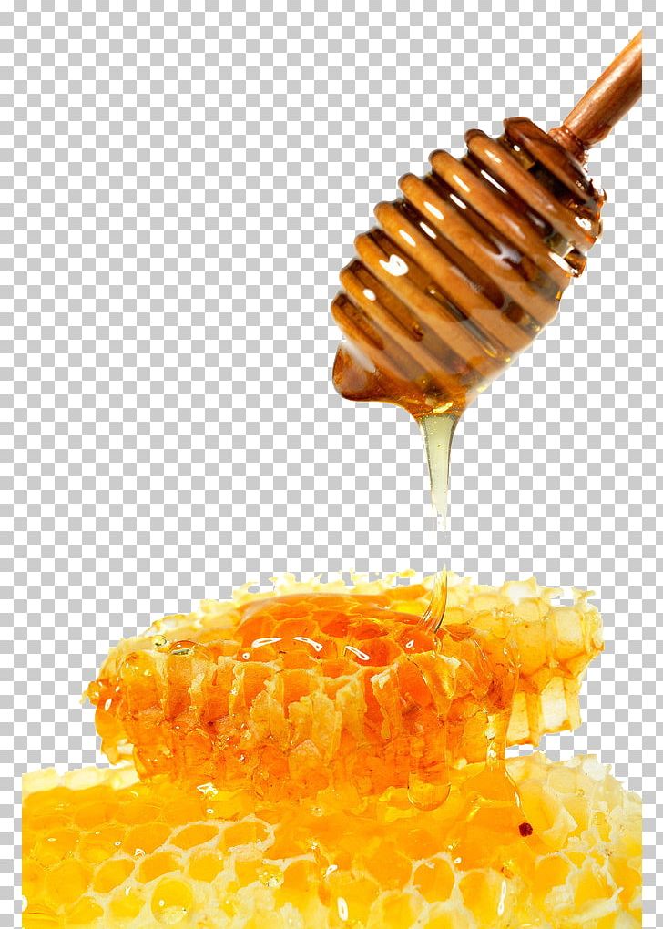 Honey Bee Mu0101nuka Honey Honeycomb PNG, Clipart, Bee, Beekeeping, Bees Honey, Commodity, Corn On The Cob Free PNG Download